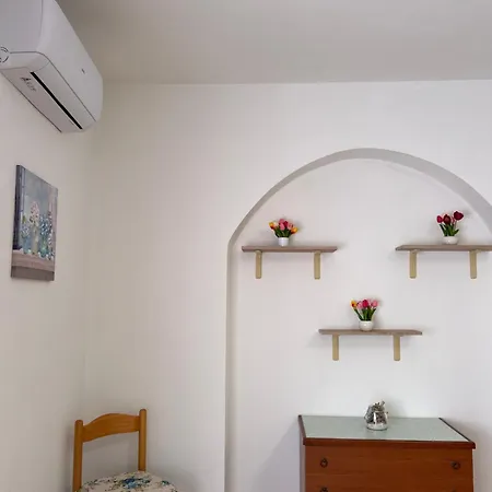 Bm Flowers * Tropea