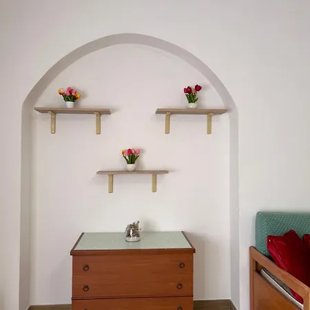 Bluemind Flowers Apartment