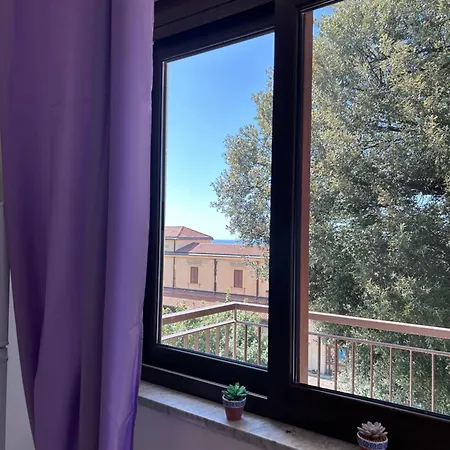 Apartment Bm Flowers Tropea