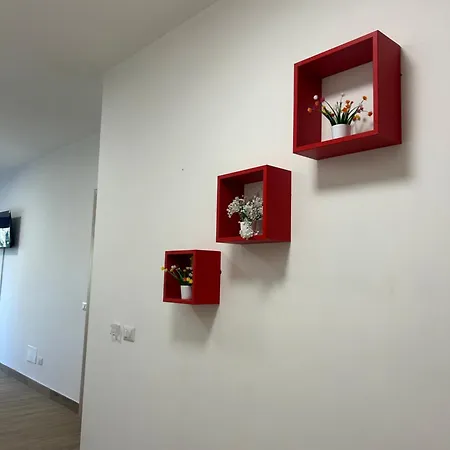 Bm Flowers טרופאה
