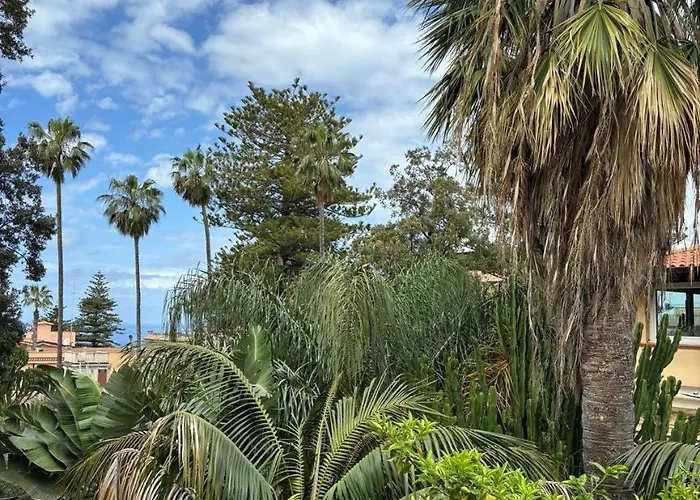 Bm Flowers Apartman *